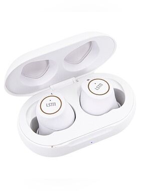 Palladium True Wireless Earbuds